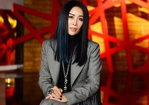 最新爆料那英过往视频,揭秘歌手背后的故事与争议  第3张